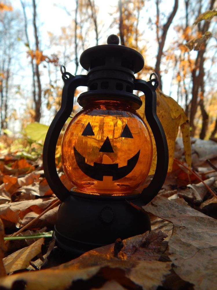 Тыква в осеннем парке.