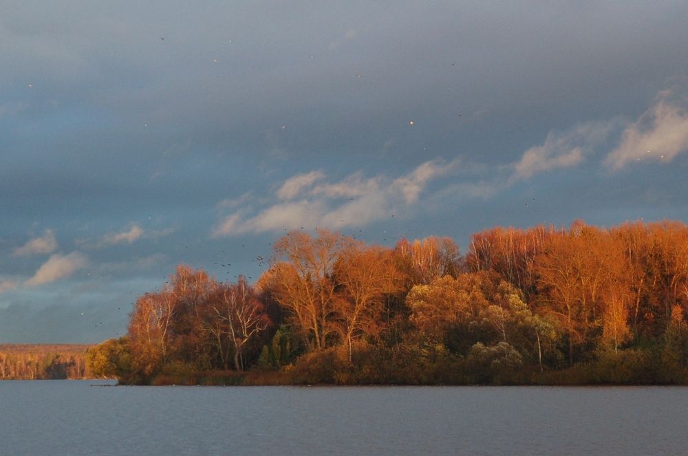Photograph by Виктория Горельченко