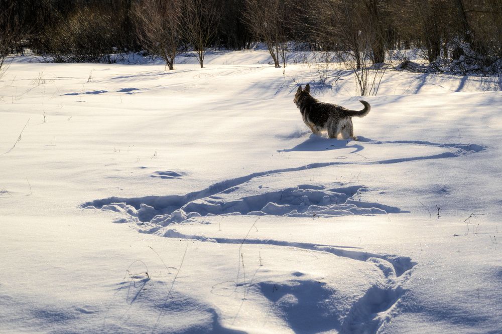 Фотография автора Валерий Лушин