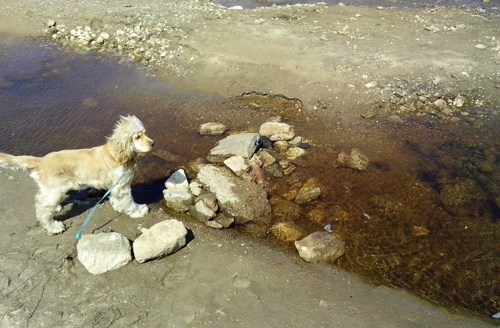 Photograph by Татьяна Кунц