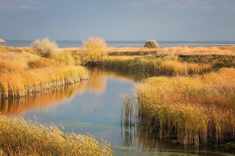 Photograph by Владислав Никишин