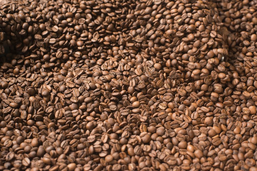 Photograph by Алексей Михайлов