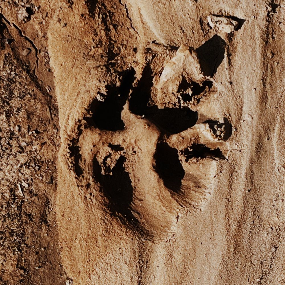 Photograph by Nadya Sterligova