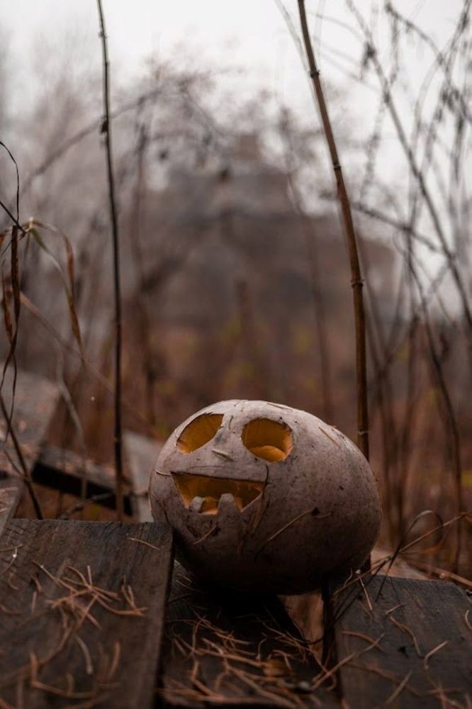 Фотография автора Вячеслав