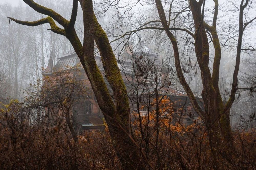 Фотография автора Вячеслав