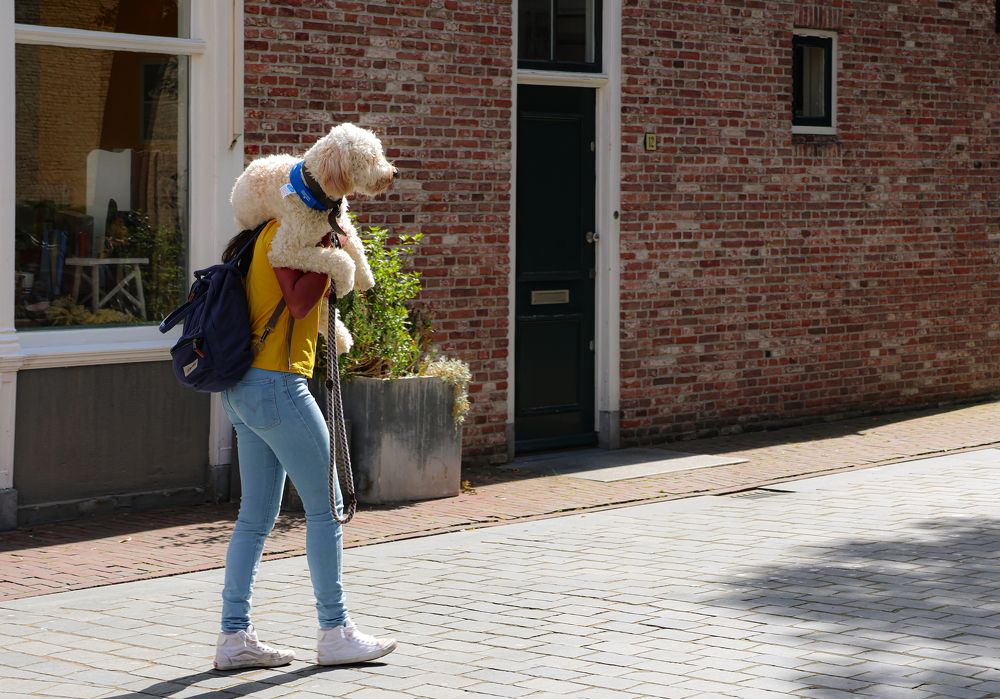 Photograph by Eva Wiedemann