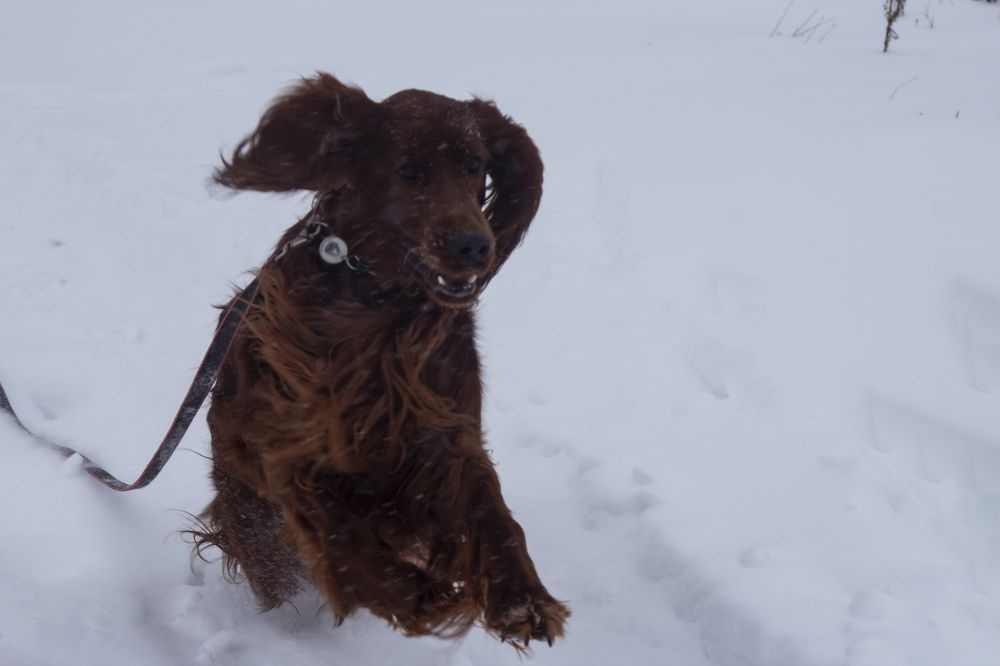 Photograph by Ирина Шибитова