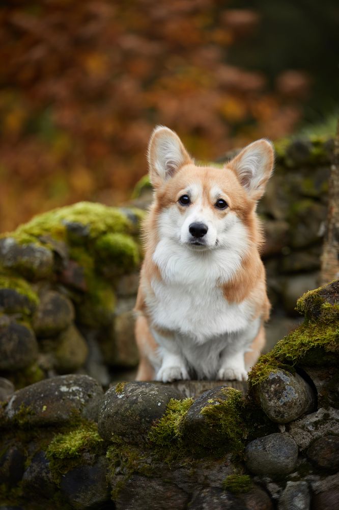 Photograph by Лана Полякова