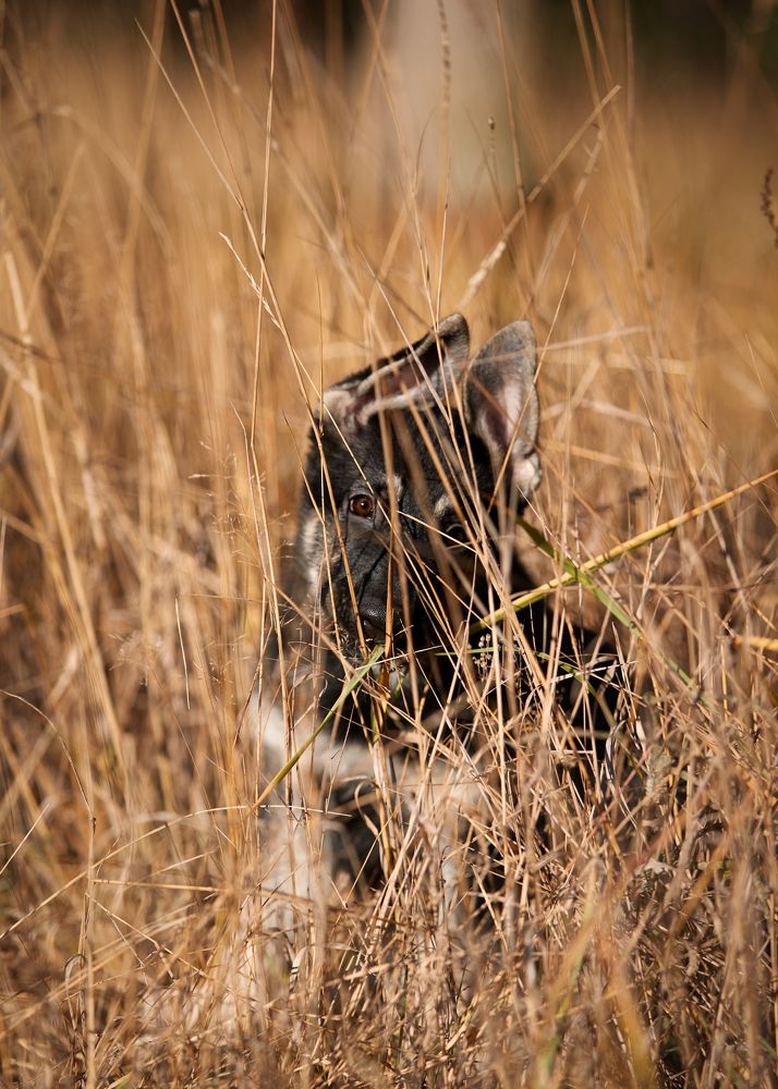 Photograph by Лана Полякова