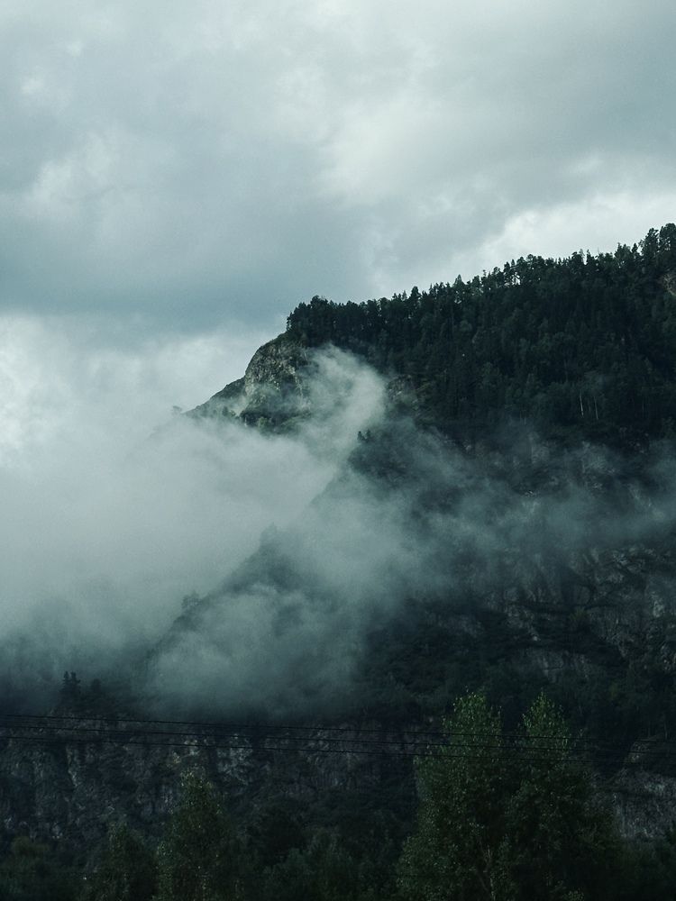 Алтай в природе