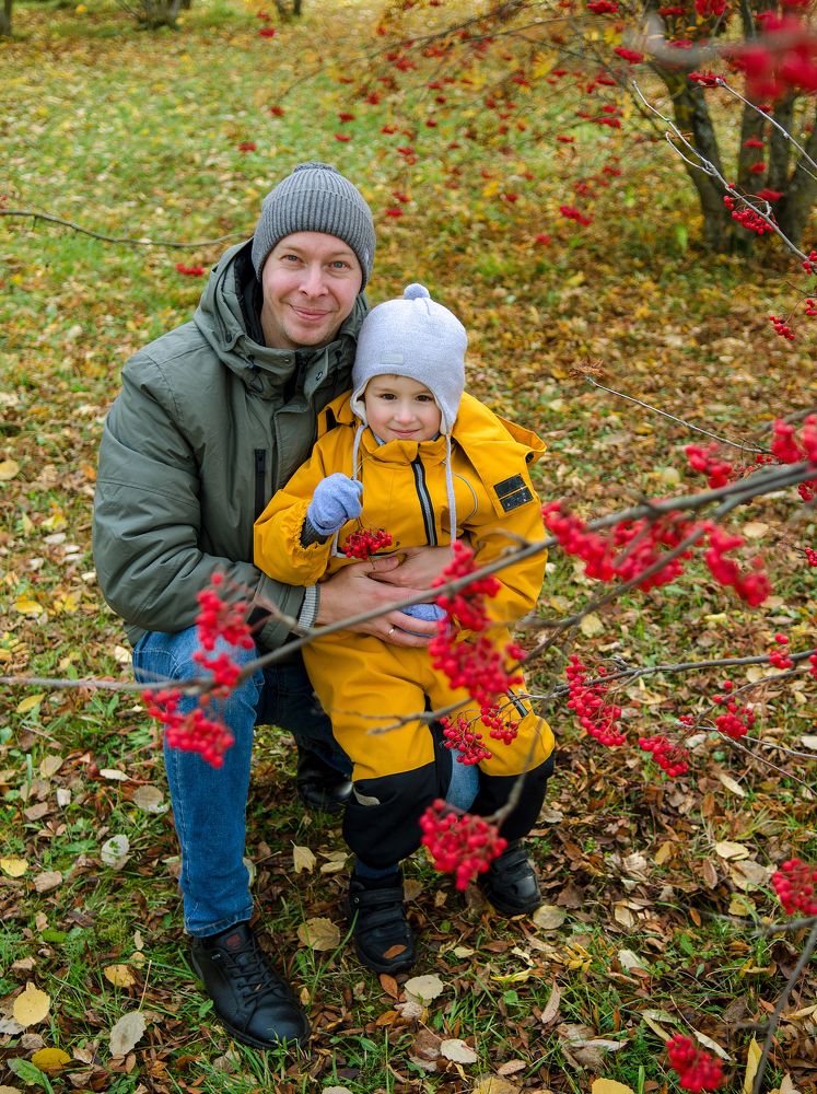 Вместе папа и сын среди красных рябин.