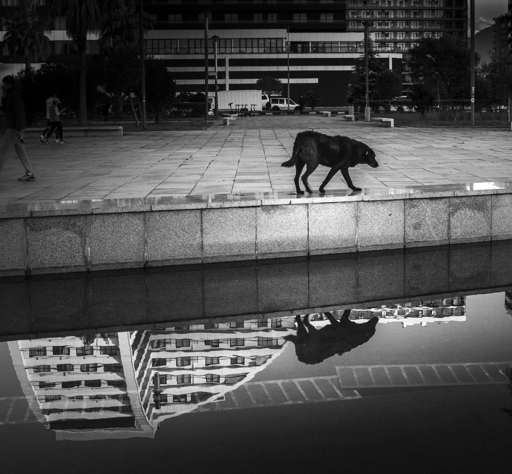 Photograph by Sergej