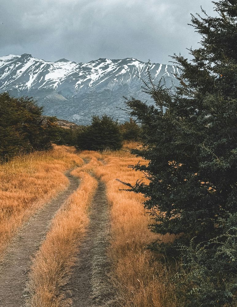 Photograph by Marina Zvada