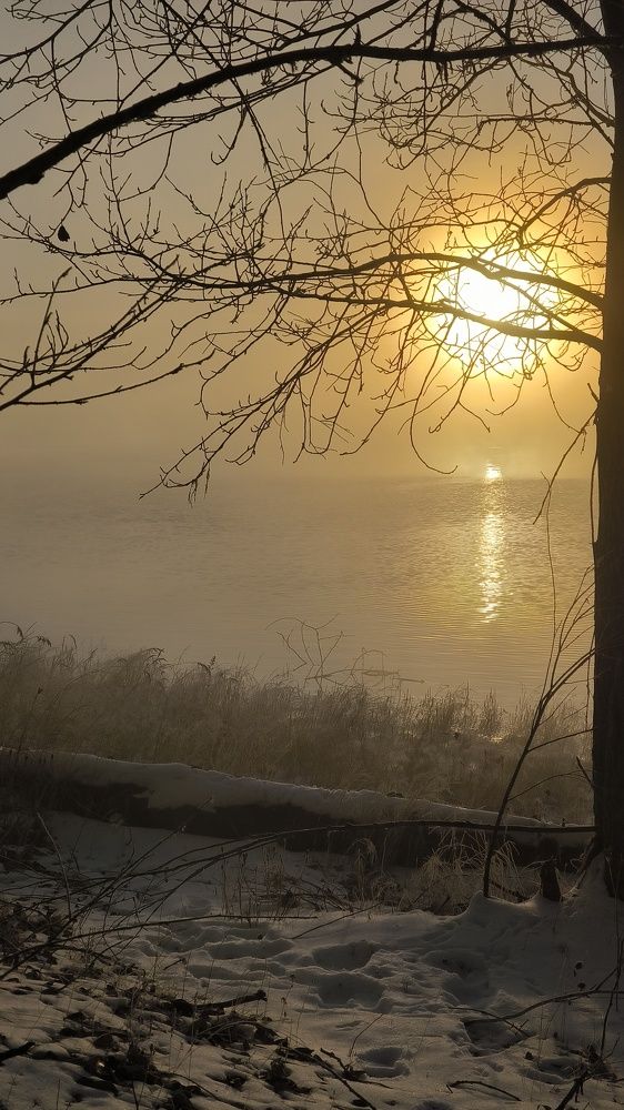Photograph by Майя Губченко