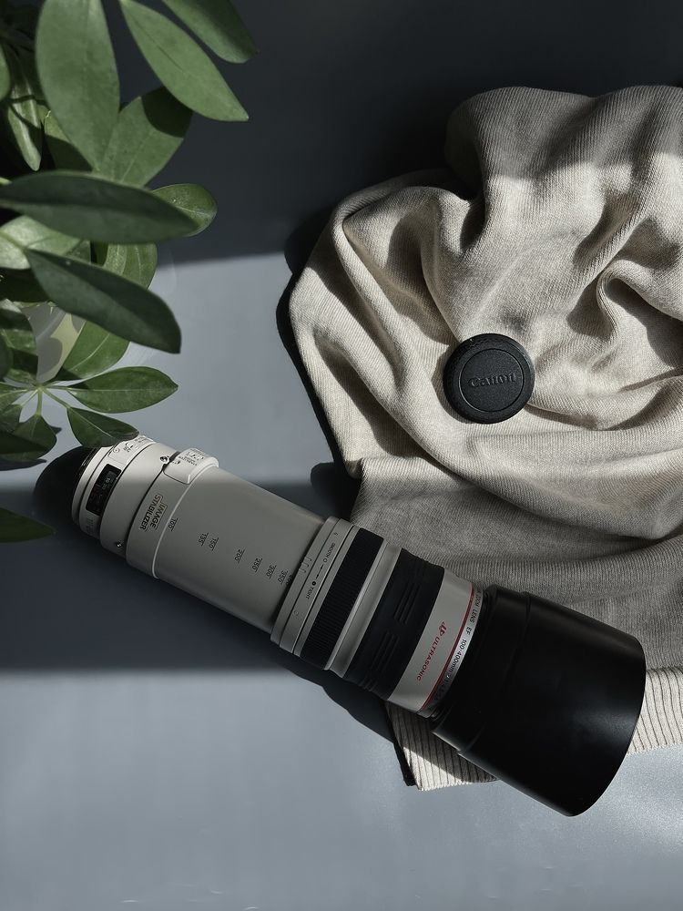 Фотография автора Елена Меньшикова