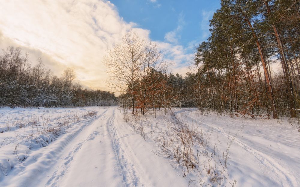 Photograph by Сергей Дишук