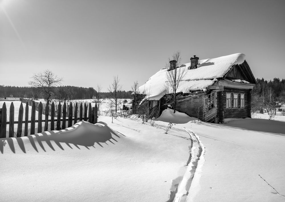 Photograph by Алёна Пшеленская