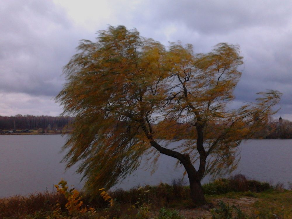Фотография автора Анатолий Борисенко