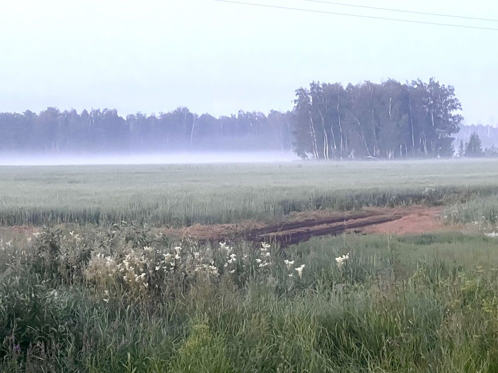 Photograph by Татьяна Блохина