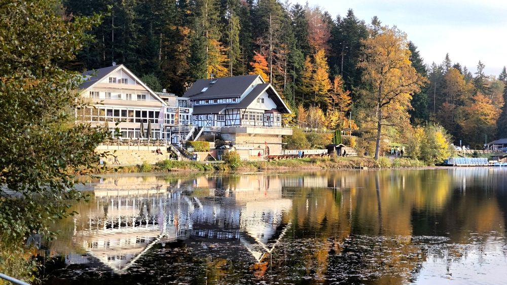 Photograph by Elena Gebert