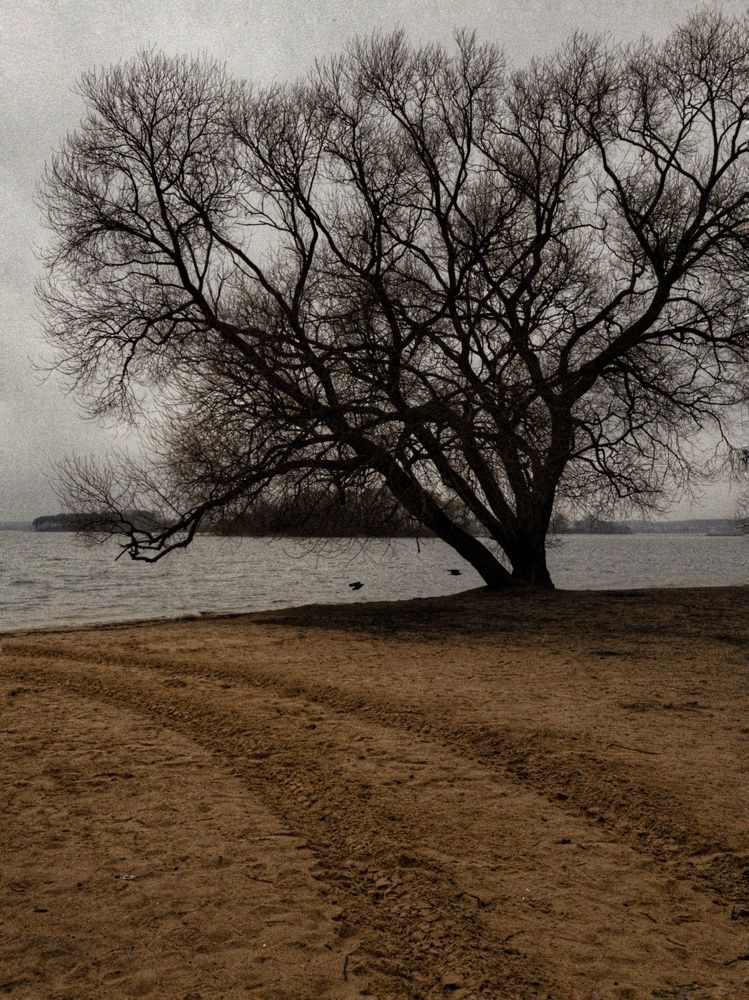 Photograph by Алина