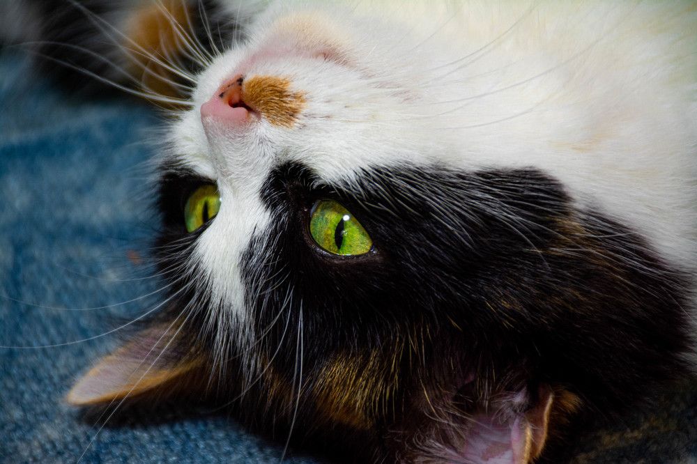 Photograph by Людмила Баймухаметова