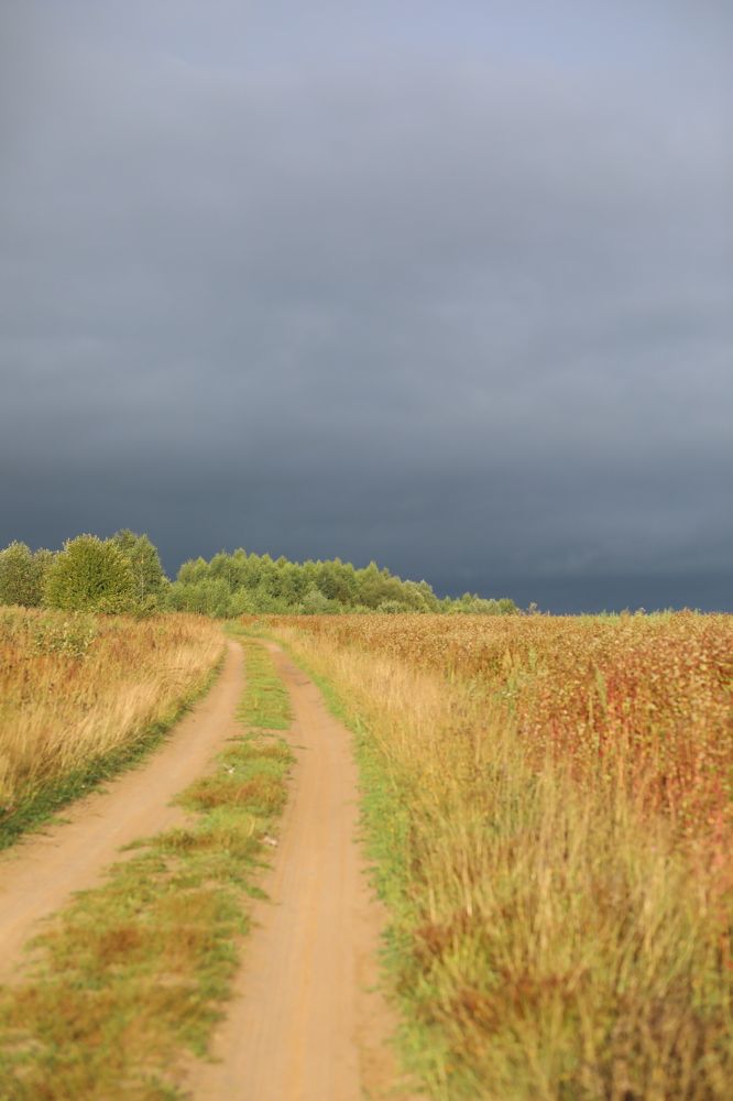 Photograph by Наталия Дударева