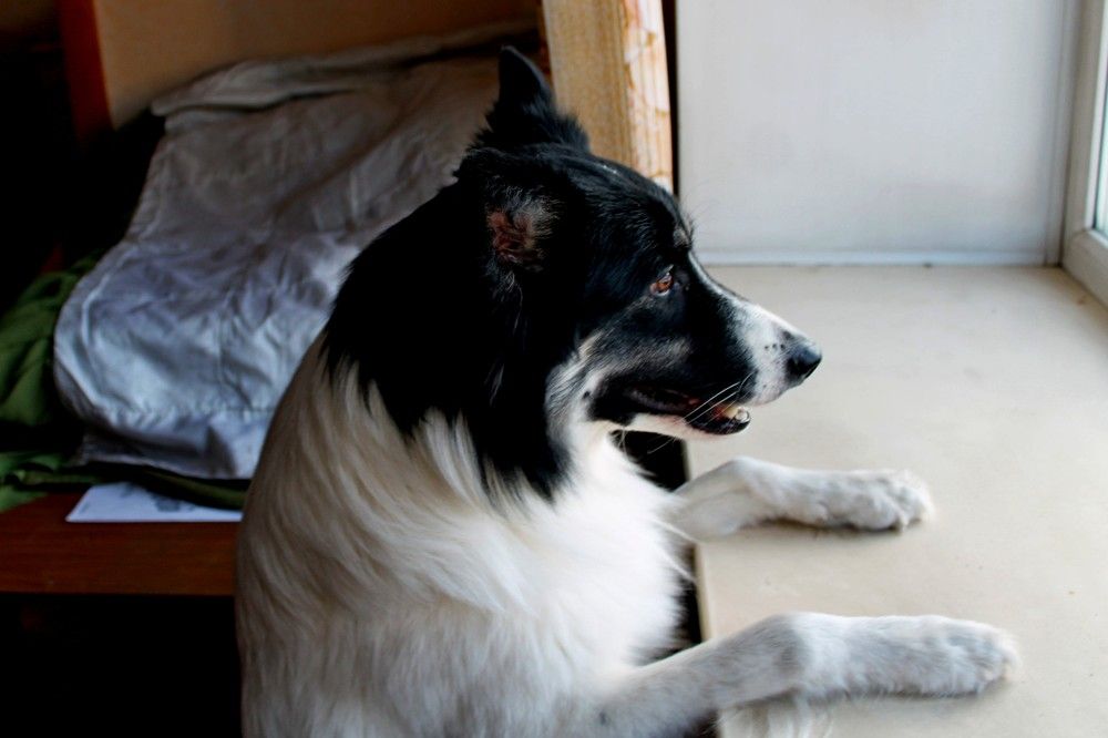 Photograph by Дмитрий Симагин