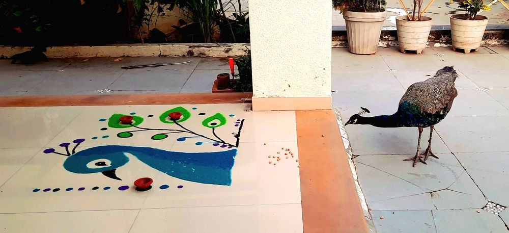 Photograph by Rajesh Sheth