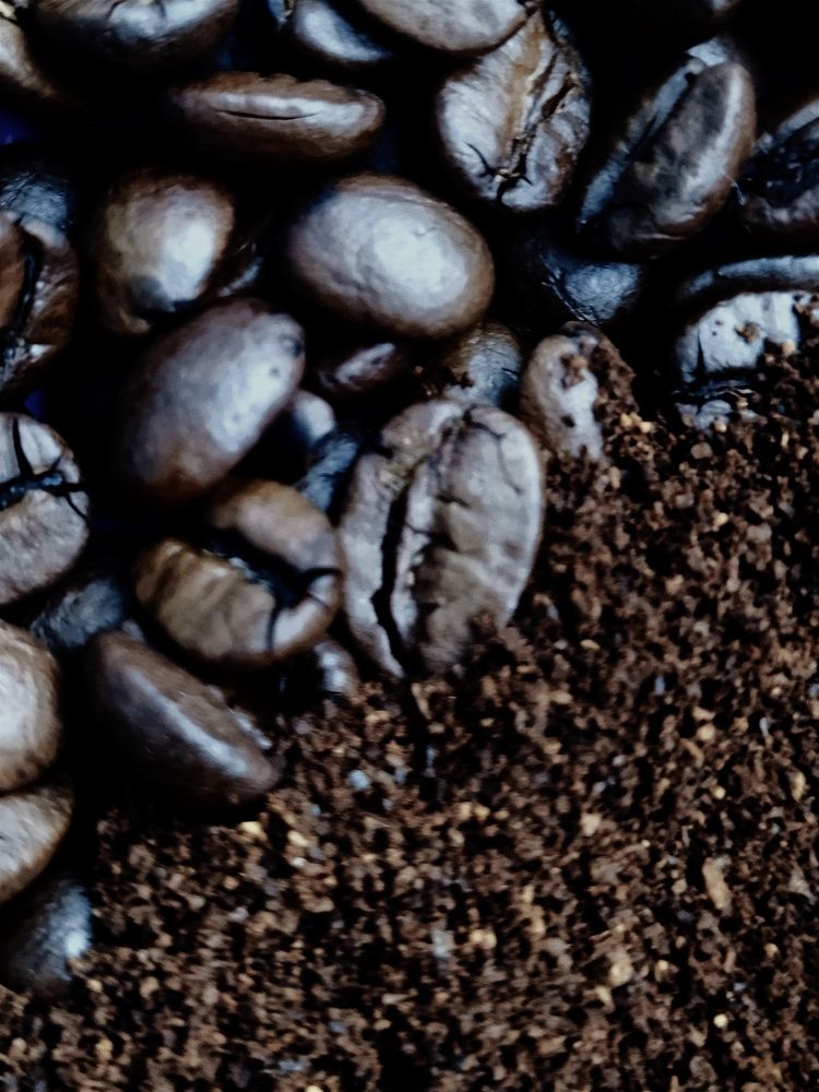 Фотография автора Рузинова Елена