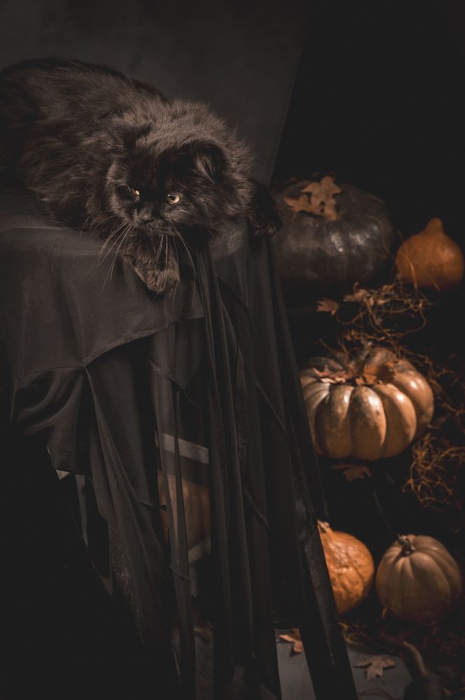 Photograph by Сергей Лексин