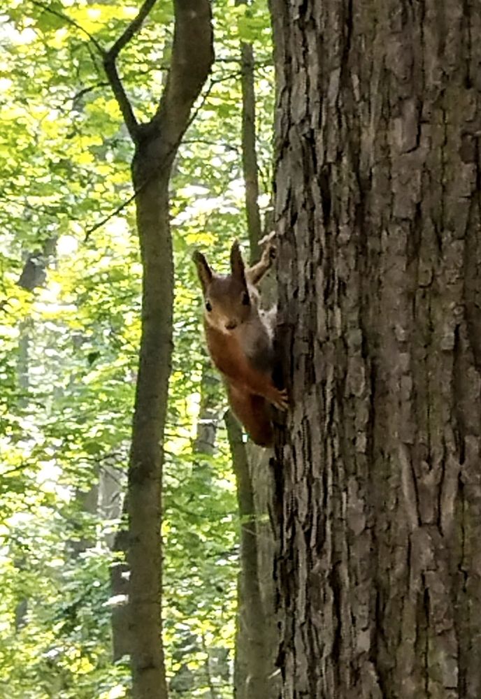 Photograph by Sergey Kurkov-Tarkovsky