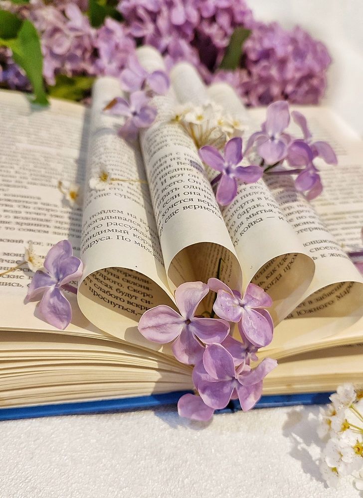 Photograph by Хоменчук Людмила