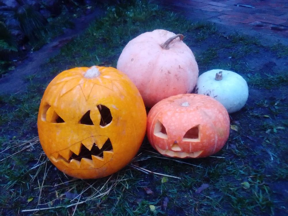 Photograph by Irina Mihailovskaya