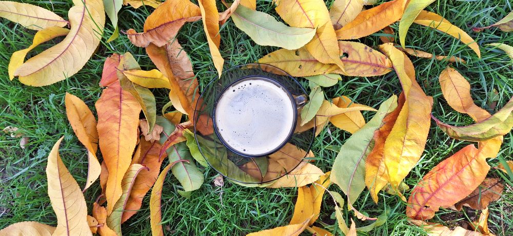 Осенний кофе/Autumn coffee