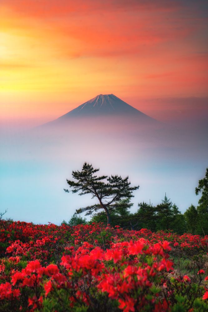 Фотография автора Luong Quyen