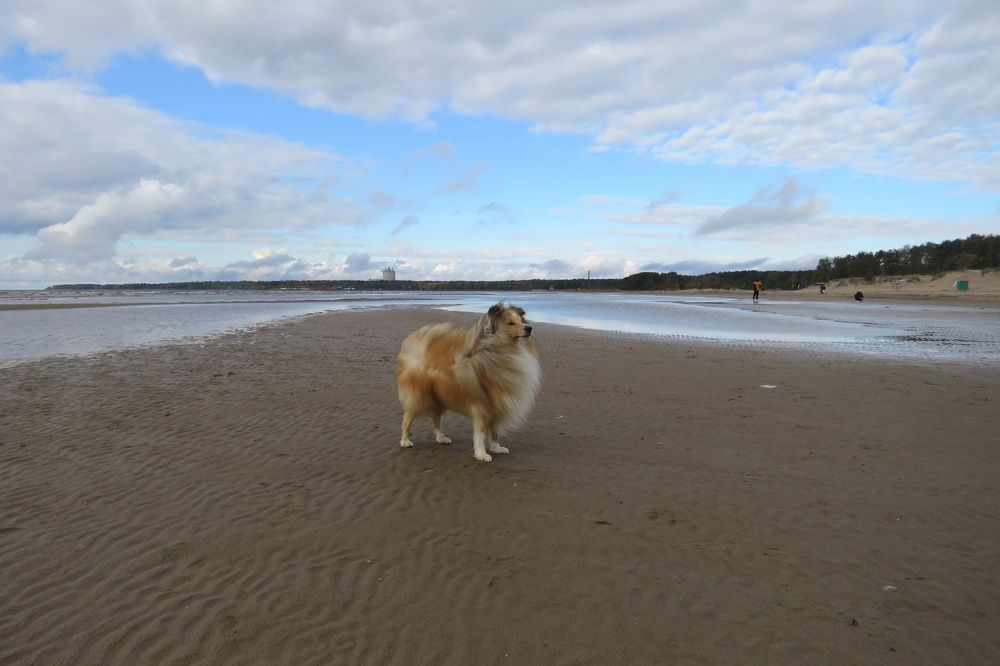 Photograph by Валерия Яскович