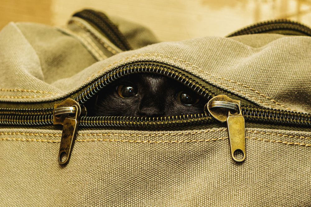 Photograph by Андрей Серый