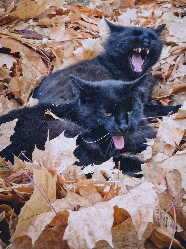 Photograph by Liudmila Kirillova