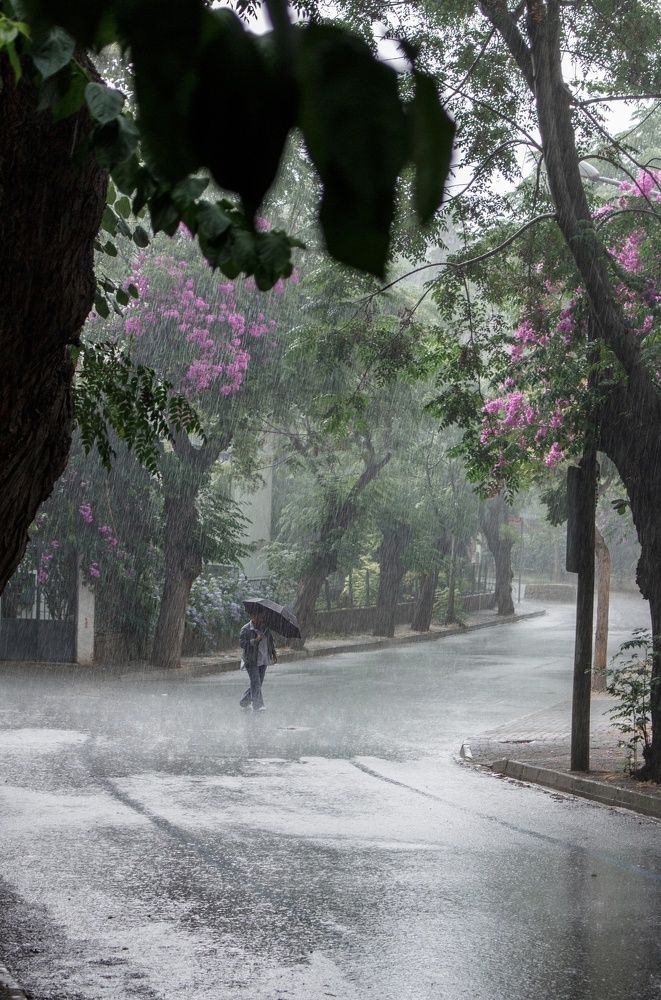 Photograph by Анастасия Лидяева