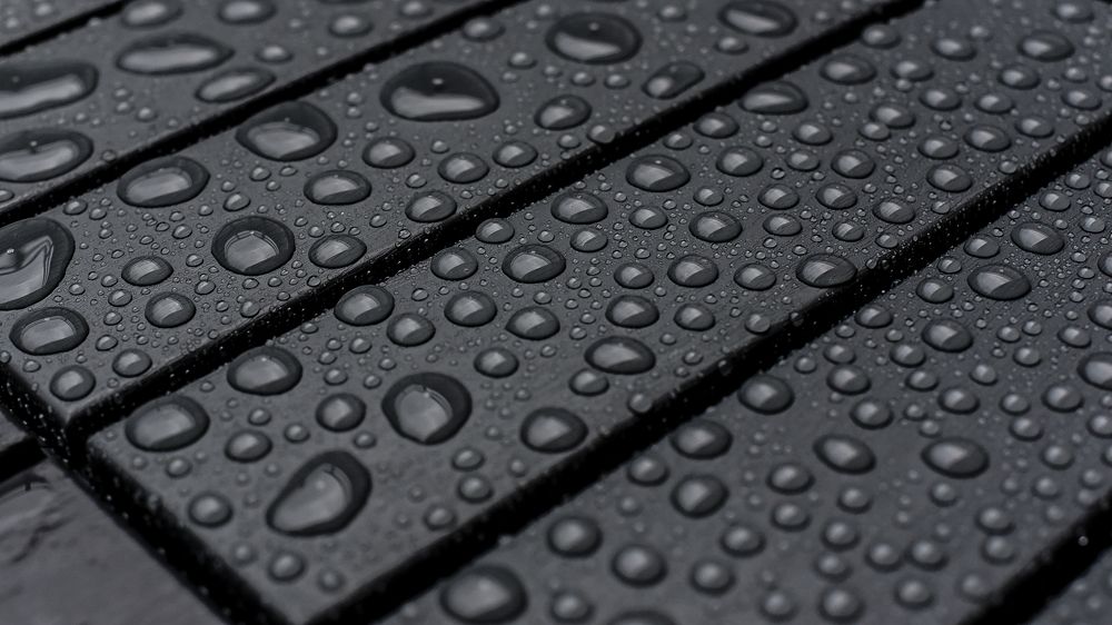 Photograph by Alena Smolianinova