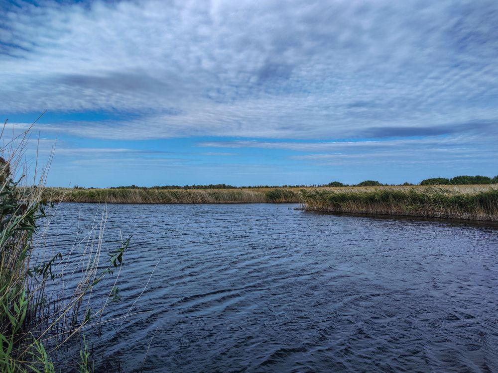 Photograph by Ирина Шибитова