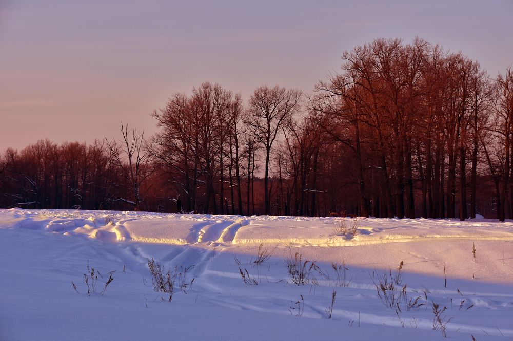 Photograph by Александр Рудаков