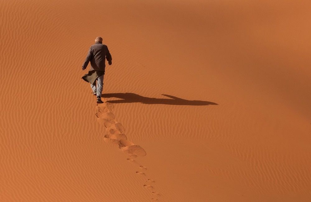 Photograph by Диана Жагрина