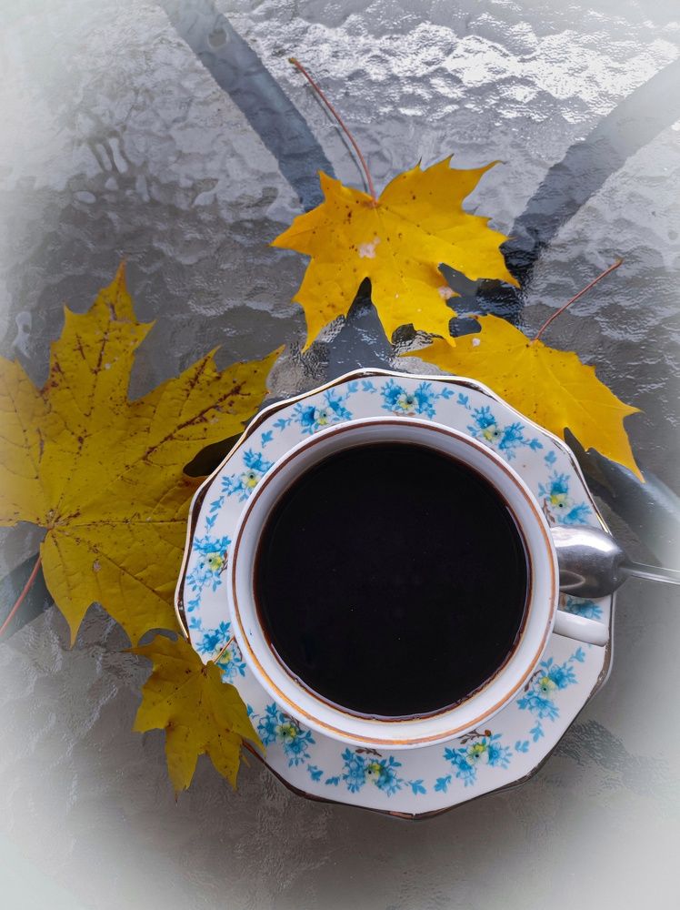 Фотография автора Рузинова Елена