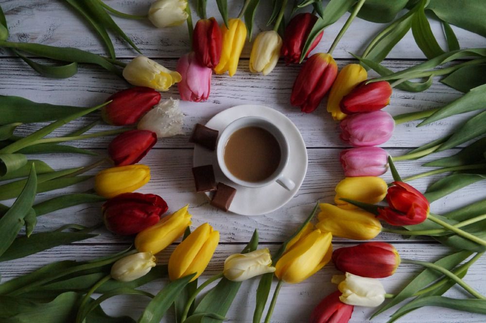Photograph by Ирина Чувило