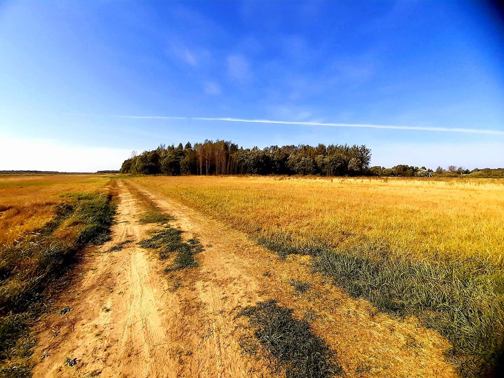 Photograph by Екатерина