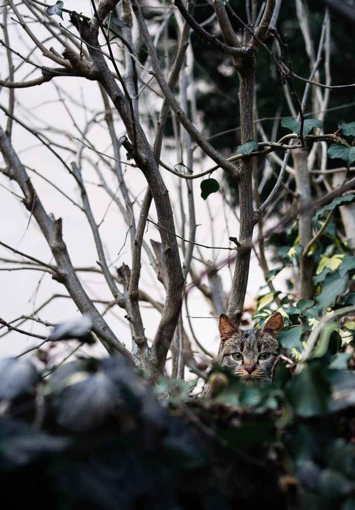 Photograph by Oleg Kozachok