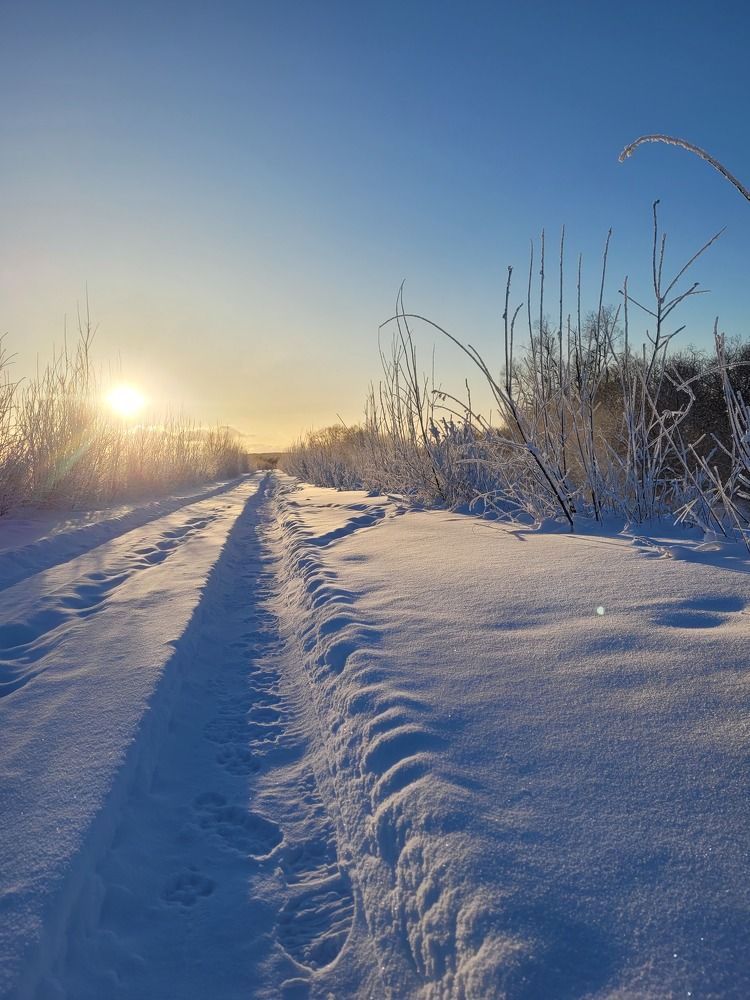 Фотография автора Казакова Людмила Ивановна