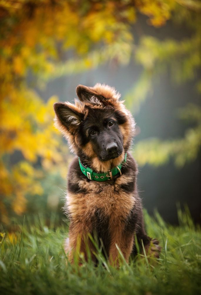 Photograph by Григорьева Юлия